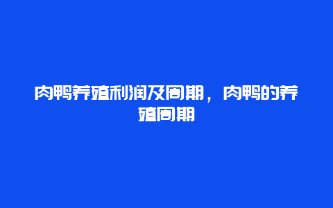 肉鸭养殖利润及周期，肉鸭的养殖周期