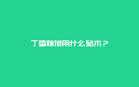 丁香嫁接用什么砧木？