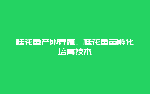 桂花鱼产卵养殖，桂花鱼苗孵化培育技术