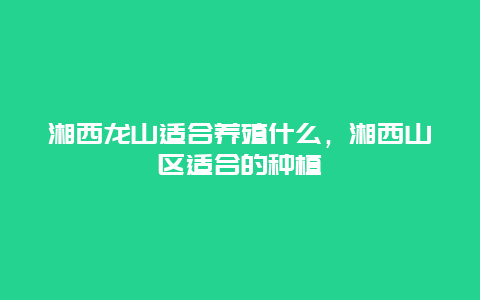 湘西龙山适合养殖什么，湘西山区适合的种植