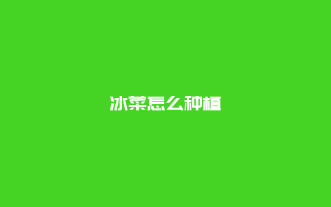 冰菜怎么种植