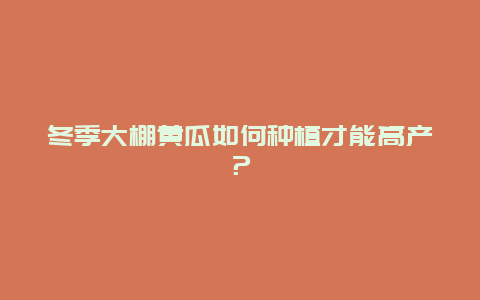 冬季大棚黄瓜如何种植才能高产？