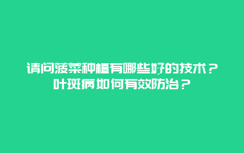 请问菠菜种植有哪些好的技术？叶斑病如何有效防治？