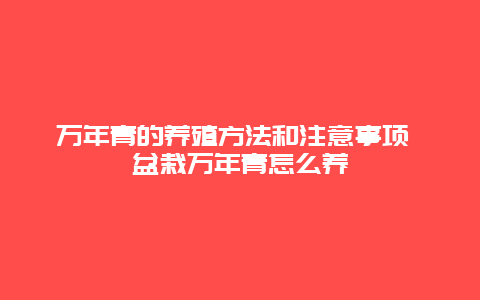 万年青的养殖方法和注意事项 盆栽万年青怎么养