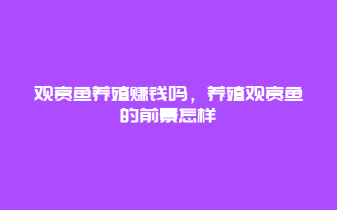 观赏鱼养殖赚钱吗，养殖观赏鱼的前景怎样