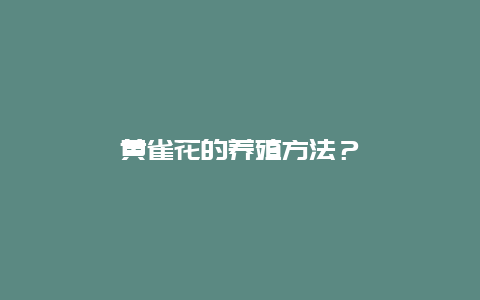 黄雀花的养殖方法？