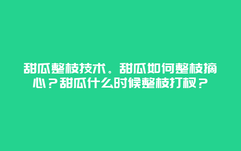 甜瓜整枝技术。甜瓜如何整枝摘心？甜瓜什么时候整枝打杈？