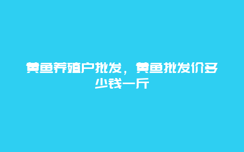 黄鱼养殖户批发，黄鱼批发价多少钱一斤