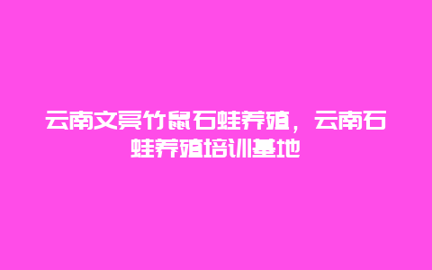 云南文亮竹鼠石蛙养殖，云南石蛙养殖培训基地