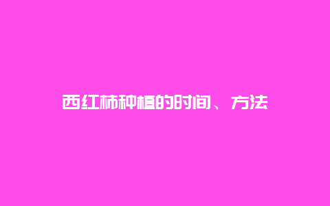 西红柿种植的时间、方法