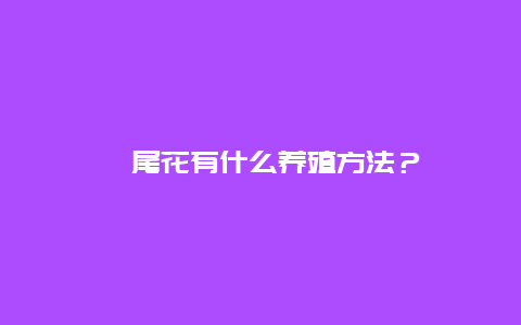 鸢尾花有什么养殖方法？