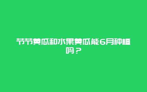 节节黄瓜和水果黄瓜能6月种植吗？