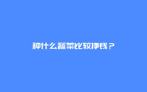 种什么蔬菜比较挣钱？