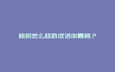 桃树怎么移栽成活率最高？