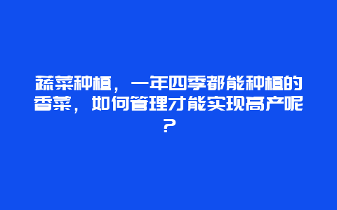 蔬菜种植，一年四季都能种植的香菜，如何管理才能实现高产呢？