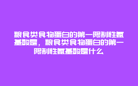 粮食类食物蛋白的第一限制性氨基酸是，粮食类食物蛋白的第一限制性氨基酸是什么