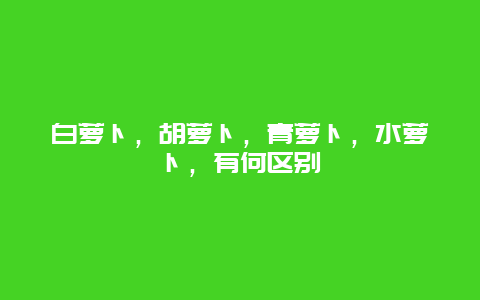 白萝卜，胡萝卜，青萝卜，水萝卜，有何区别