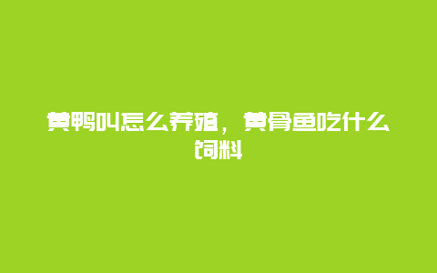 黄鸭叫怎么养殖，黄骨鱼吃什么饲料