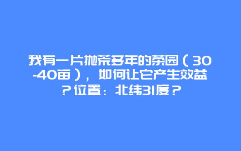 我有一片抛荒多年的茶园（30-40亩），如何让它产生效益？位置：北纬31度？