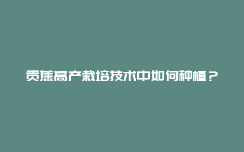 贡蕉高产栽培技术中如何种植？