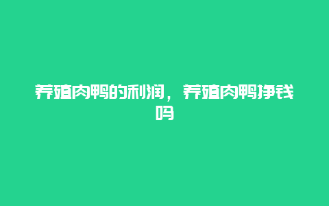 养殖肉鸭的利润，养殖肉鸭挣钱吗