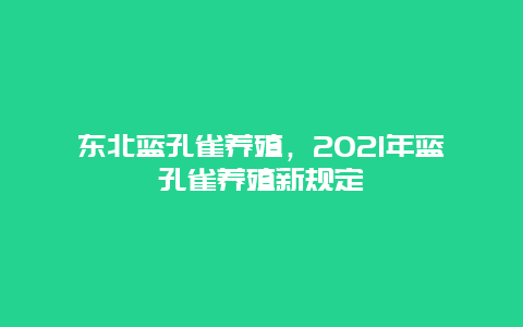 东北蓝孔雀养殖，2021年蓝孔雀养殖新规定