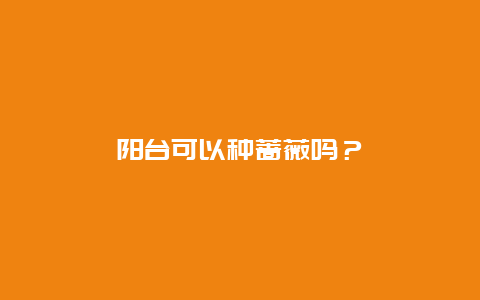 阳台可以种蔷薇吗？