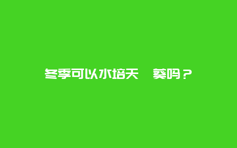 冬季可以水培天竺葵吗？