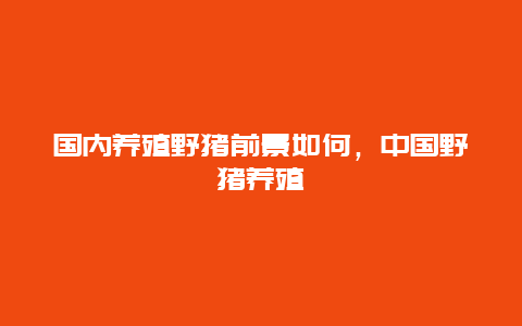 国内养殖野猪前景如何，中国野猪养殖