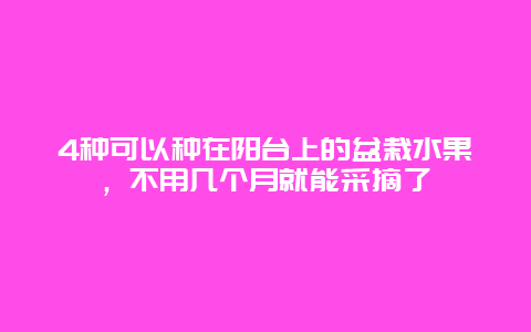 4种可以种在阳台上的盆栽水果，不用几个月就能采摘了