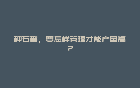 种石榴，要怎样管理才能产量高？