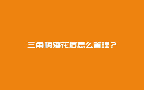 三角梅落花后怎么管理？