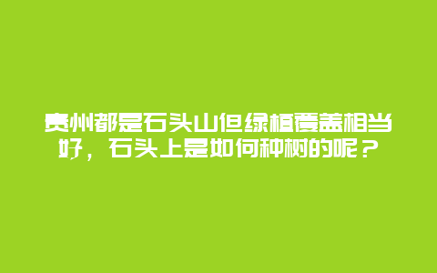 贵州都是石头山但绿植覆盖相当好，石头上是如何种树的呢？