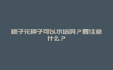 栀子花种子可以水培吗？要注意什么？