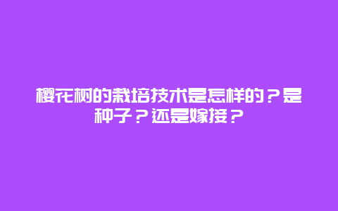 樱花树的栽培技术是怎样的？是种子？还是嫁接？