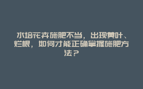 水培花卉施肥不当，出现黄叶、烂根，如何才能正确掌握施肥方法？