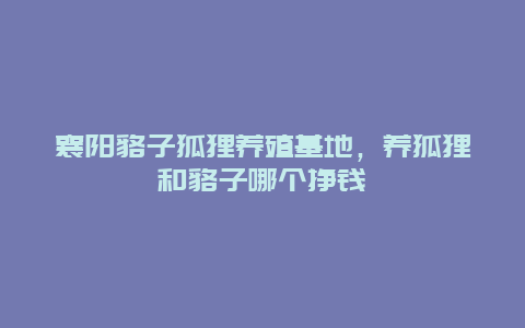 襄阳貉子狐狸养殖基地，养狐狸和貉子哪个挣钱