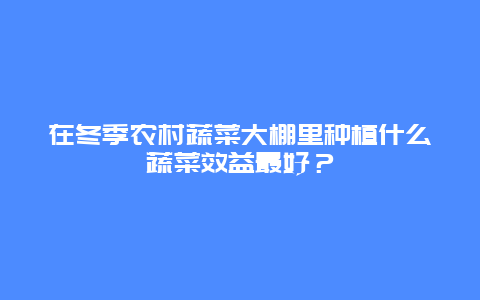 在冬季农村蔬菜大棚里种植什么蔬菜效益最好？