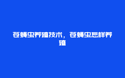 苍蝇虫养殖技术，苍蝇虫怎样养殖