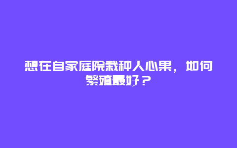 想在自家庭院栽种人心果，如何繁殖最好？