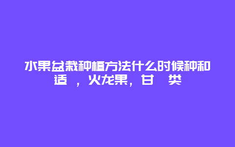 水果盆栽种植方法什么时候种和适 ，火龙果，甘桔类