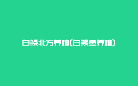 白鳗北方养殖(白鳗鱼养殖)