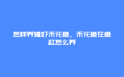 怎样养殖好禾花鱼，禾花鱼在鱼缸怎么养