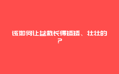 该如何让盆栽长得矮矮、壮壮的？