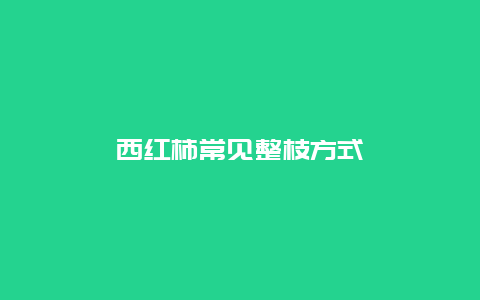 西红柿常见整枝方式