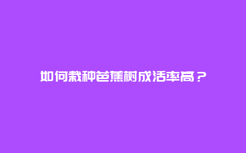 如何栽种芭蕉树成活率高？