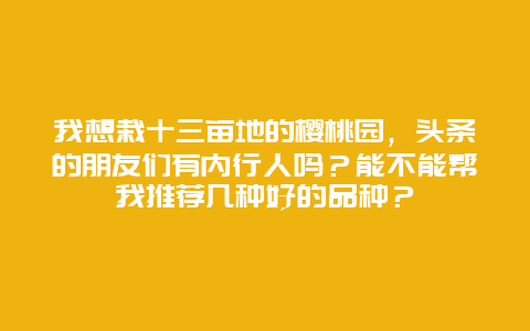 我想栽十三亩地的樱桃园，头条的朋友们有内行人吗？能不能帮我推荐几种好的品种？