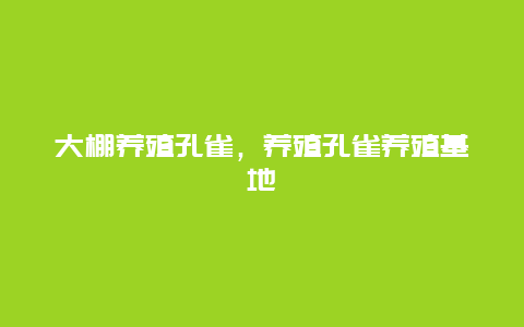 大棚养殖孔雀，养殖孔雀养殖基地