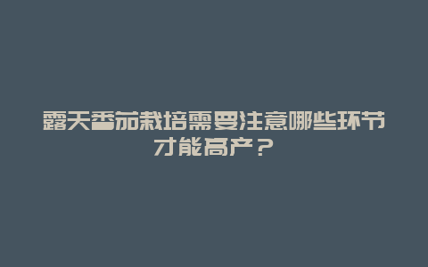 露天番茄栽培需要注意哪些环节才能高产？