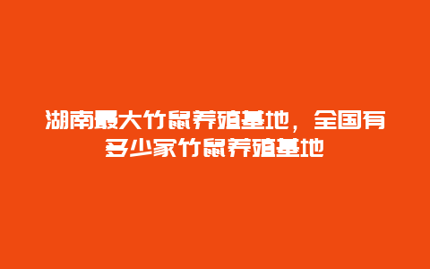 湖南最大竹鼠养殖基地，全国有多少家竹鼠养殖基地